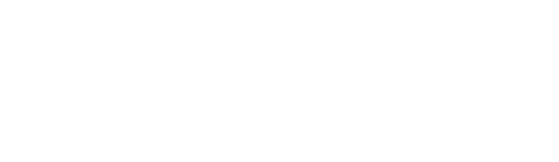Logo de Neurones IT